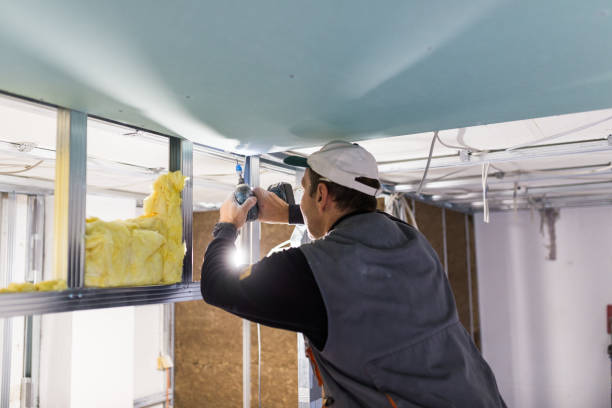 Best Specialized Insulation Services in Mountainside, NJ
